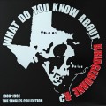 Bridgeburne R – What Do You Know About Bridgeburne R? The Singles Collection, 1986-1992 LP